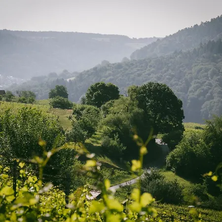 Bürgstadt, Am Bischof Mit Sonnenterrasse, 1 Bis 4 Betten Buergstadt