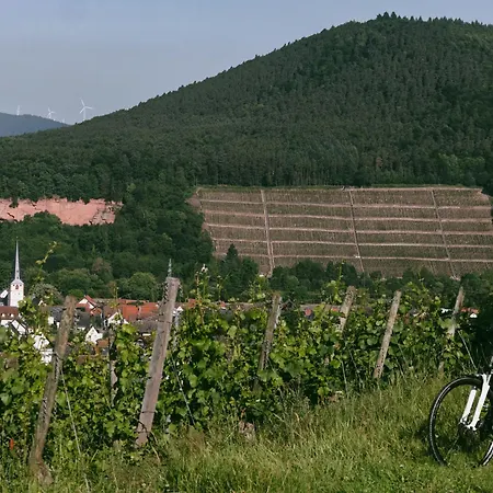 Bürgstadt, Am Bischof Mit Sonnenterrasse, 1 Bis 4 Betten * Buergstadt