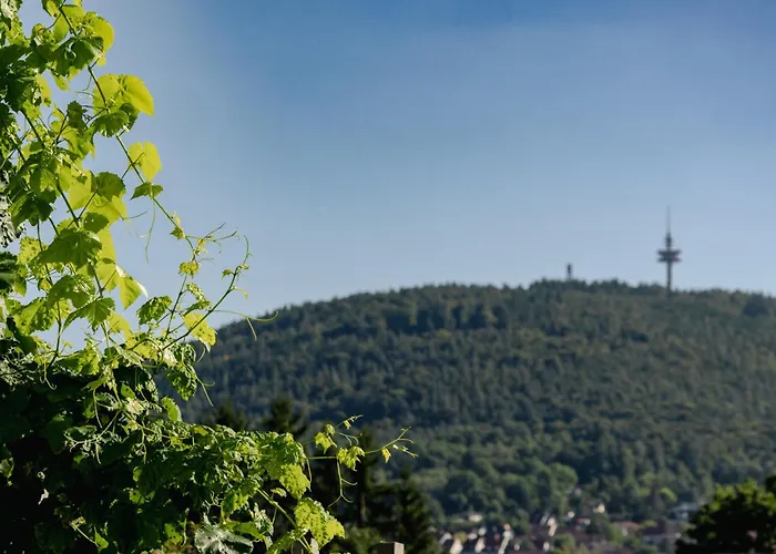 Bürgstadt, Am Bischof Mit Sonnenterrasse, 1 Bis 4 Betten Apartamento *