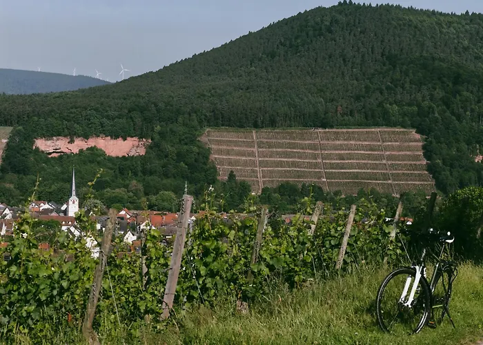 Bürgstadt, Am Bischof Mit Sonnenterrasse, 1 Bis 4 Betten * Buergstadt