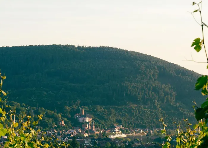 Bürgstadt, Am Bischof Mit Sonnenterrasse, 1 Bis 4 Betten Apartamento Buergstadt