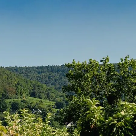 Διαμέρισμα Buergstadt, Am Bischof Mit Sonnenterrasse, 1 Bis 4 Betten