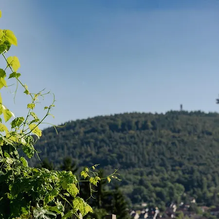 Buergstadt, Am Bischof Mit Sonnenterrasse, 1 Bis 4 Betten Διαμέρισμα *